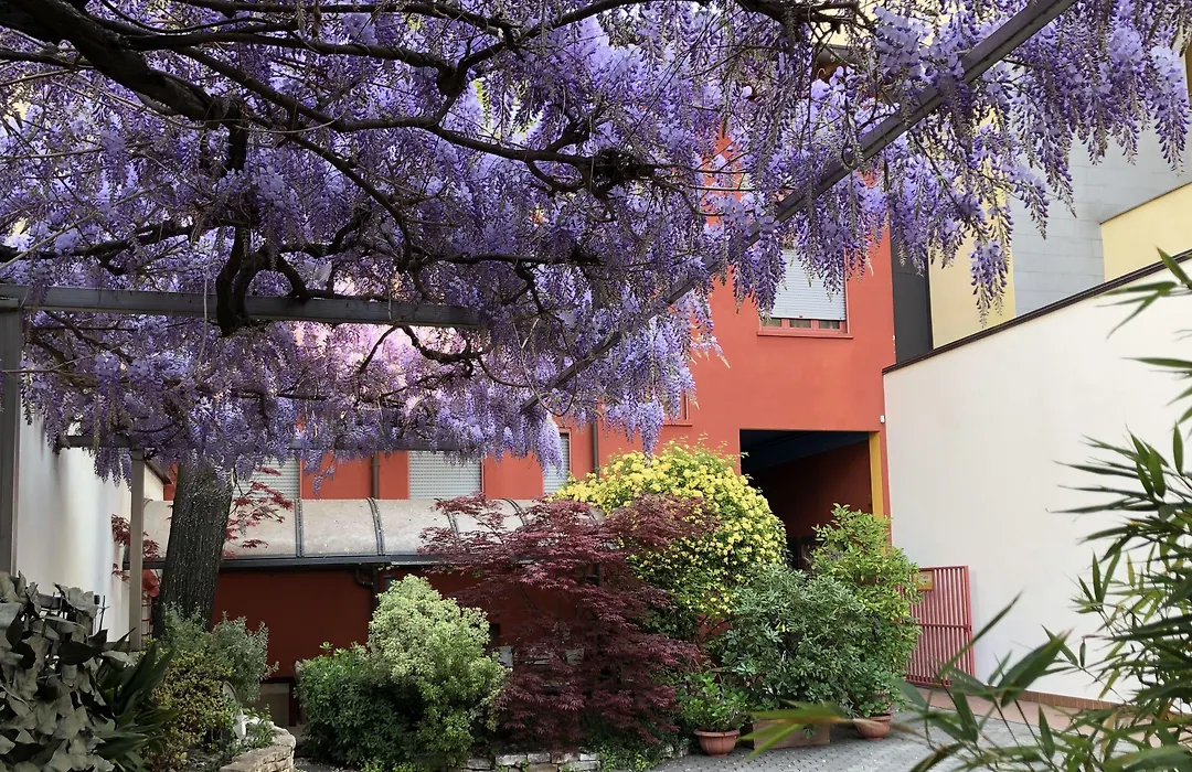 Il Girasole High Quality Inn-1